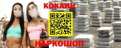 молекула духа Кингисепп