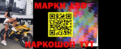 молекула духа Кингисепп