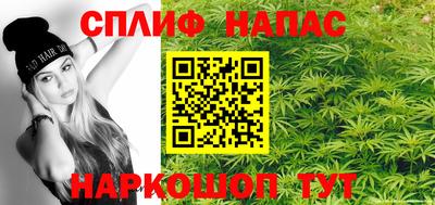 молекула духа Кингисепп