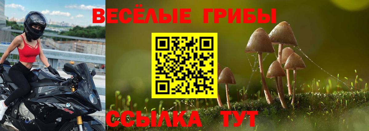 Псилоцибиновые грибы мухоморы Кушва